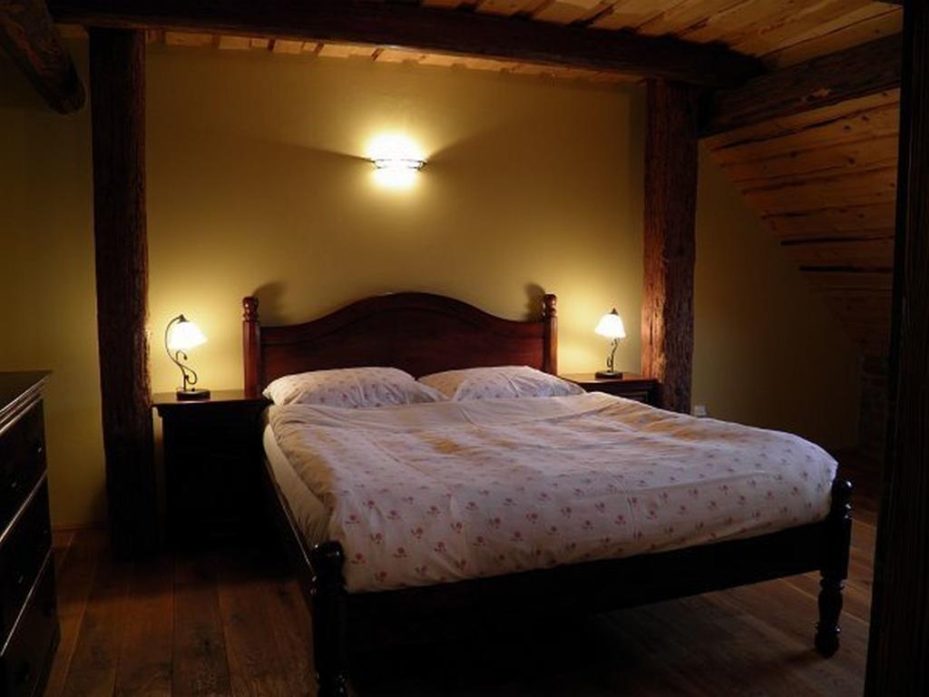 Dvur Olsiny -Hotel And Horse-Riding Karvina Room photo