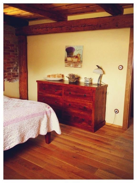 Dvur Olsiny -Hotel And Horse-Riding Karvina Room photo