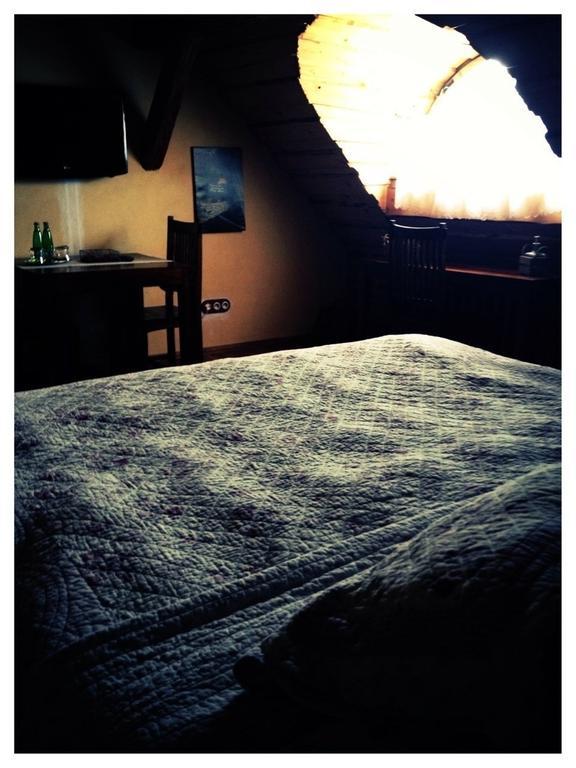 Dvur Olsiny -Hotel And Horse-Riding Karvina Room photo