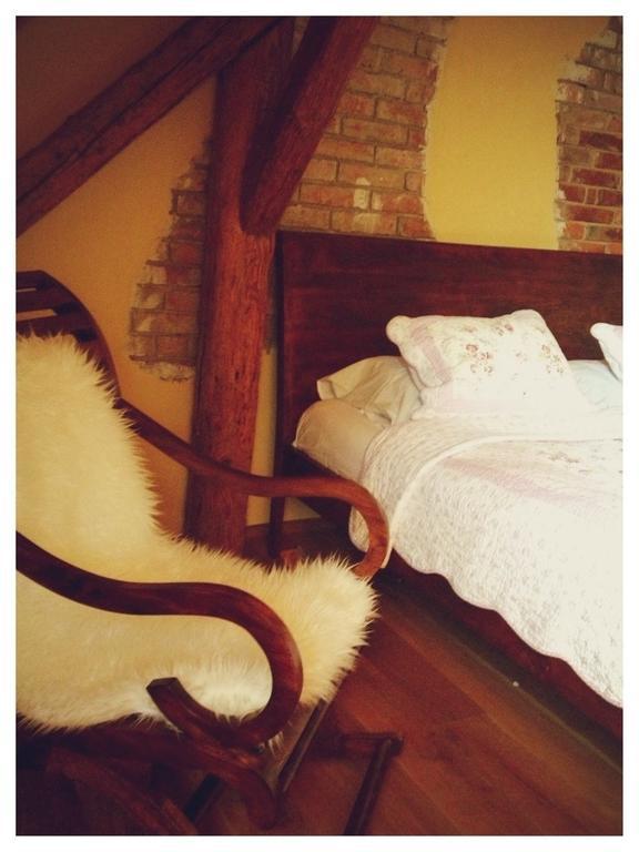Dvur Olsiny -Hotel And Horse-Riding Karvina Room photo