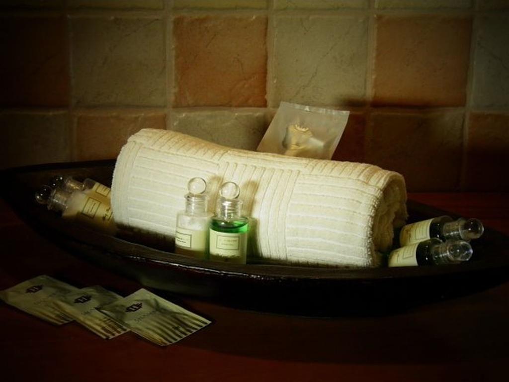 Dvur Olsiny -Hotel And Horse-Riding Karvina Room photo